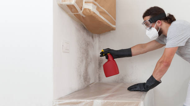 Professional Hvac And Air Duct Mold Remediation technician working in Bohemia, NY